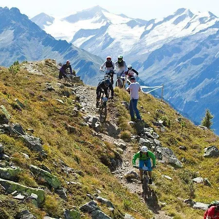 公寓 Erwin & Eleonore Huettl - Penthouse Neukirchen am Großvenediger